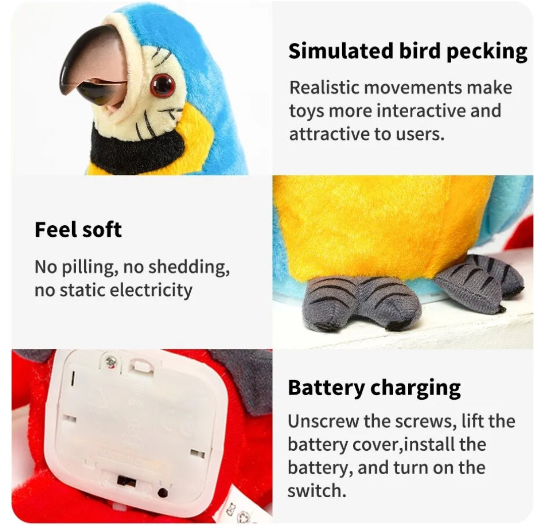 Electronic Talking Parrot